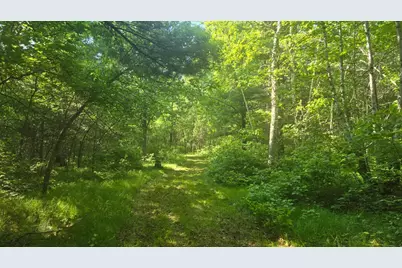 Tbd County Road 13, Nisswa, MN 56468 - Photo 3
