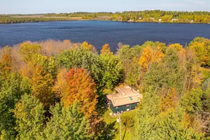 91009 Duffy Island, Tower, MN 55790 - Photo 43