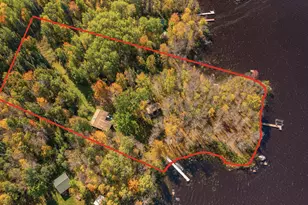 91009 Duffy Island, Tower, MN 55790 - Photo 45