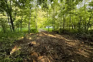 Tbd Frontier Ln, Sturgeon Lake, MN 55783 - Photo 1