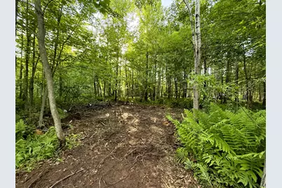 Tbd Frontier Lane, Sturgeon Lake, MN 55783 - Photo 3