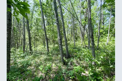 Tbd Stone Lake Road SW, Bemidji, MN 56601 - Photo 21
