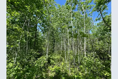 Tbd Stone Lake Road SW, Bemidji, MN 56601 - Photo 19