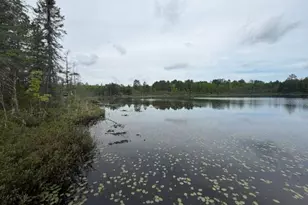 9064 Peppard Rd, Britt, MN 55710 - Photo 23