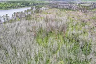 1249 Gabbro Rd, Brimson, MN 55602 - Photo 7