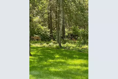 13837 Oakwood Drive, Baxter, MN 56425 - Photo 3