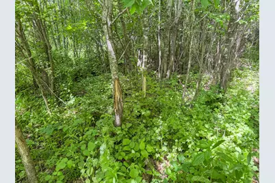 0 Dopp Road, Ettrick, WI 54627 - Photo 49