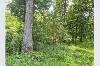 0 Dopp Road, Ettrick, WI 54627 - Photo 51