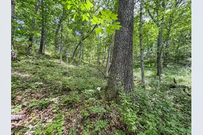 0 Dopp Road, Ettrick, WI 54627 - Photo 35