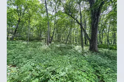 0 Dopp Road, Ettrick, WI 54627 - Photo 39