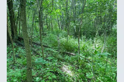 0 Dopp Road, Ettrick, WI 54627 - Photo 43