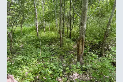 0 Dopp Road, Ettrick, WI 54627 - Photo 41