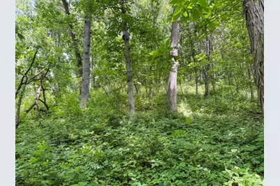 0 Dopp Road, Ettrick, WI 54627 - Photo 69