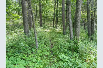 0 Dopp Road, Ettrick, WI 54627 - Photo 77