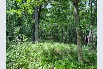00 Dopp, Ettrick, WI 54627 - Photo 31
