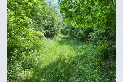 00 Dopp, Ettrick, WI 54627 - Photo 49