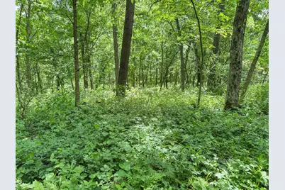 00 Dopp, Ettrick, WI 54627 - Photo 45