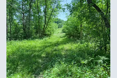 00 Dopp, Ettrick, WI 54627 - Photo 47