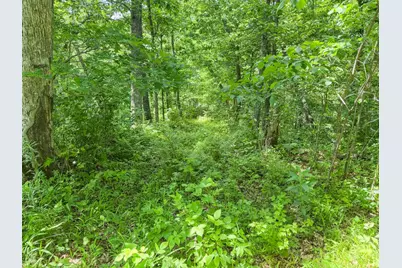00 Dopp, Ettrick, WI 54627 - Photo 39