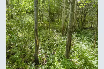 00 Dopp, Ettrick, WI 54627 - Photo 29