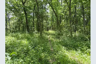 00 Dopp, Ettrick, WI 54627 - Photo 51