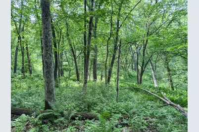00 Dopp, Ettrick, WI 54627 - Photo 19