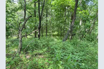 00 Dopp, Ettrick, WI 54627 - Photo 55