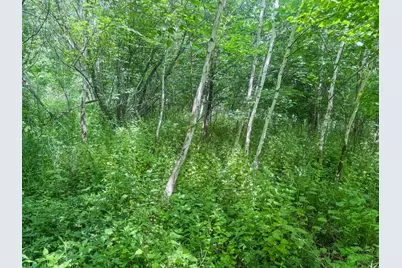 00 Dopp, Ettrick, WI 54627 - Photo 35