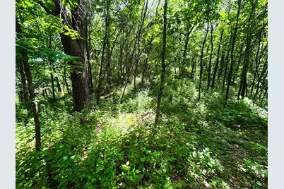 00 Dopp, Ettrick, WI 54627 - Photo 69