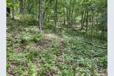 00 Dopp, Ettrick, WI 54627 - Photo 23