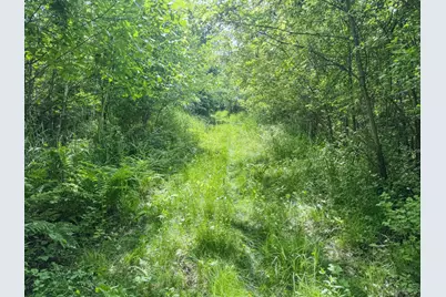 00 Dopp, Ettrick, WI 54627 - Photo 27