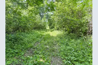 00 Dopp, Ettrick, WI 54627 - Photo 41