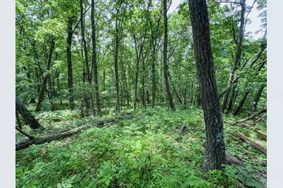 00 Dopp, Ettrick, WI 54627 - Photo 25
