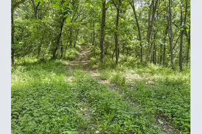 00 Dopp, Ettrick, WI 54627 - Photo 63