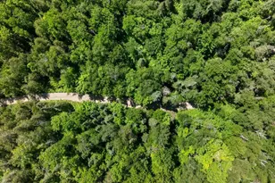 6908 Rogers Point Rd NW, Walker, MN 56484 - Photo 55