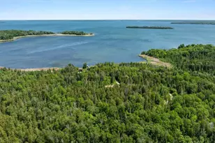 6908 Rogers Point Rd NW, Walker, MN 56484 - Photo 57