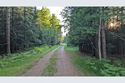 7079 Pike River Drive, Embarrass, MN 55732 - Photo 35