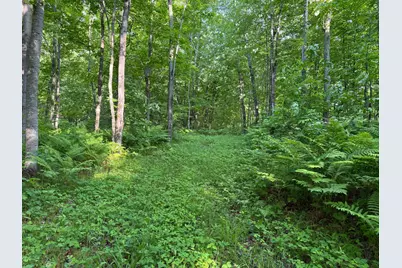 Tbd Shady Lane, Trego, WI 54888 - Photo 7