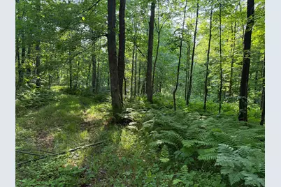 Tbd Shady Lane, Trego, WI 54888 - Photo 25