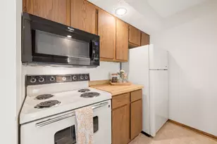 336 W 5th St, Waconia, MN 55387 - Photo 11