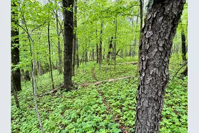 Lot 1 160th Ave, Maiden Rock, WI 54750 - Photo 33