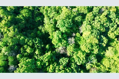 Lot 1 160th Ave, Maiden Rock, WI 54750 - Photo 25