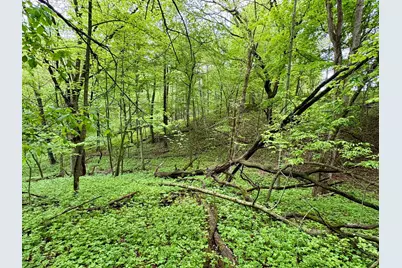 Lot 1 160th Ave, Maiden Rock, WI 54750 - Photo 31