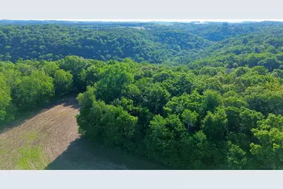 Lot 1 160th Ave, Maiden Rock, WI 54750 - Photo 15