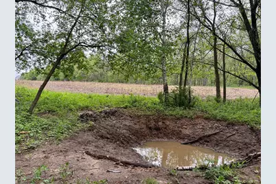 Lot 1 160th Ave, Maiden Rock, WI 54750 - Photo 29
