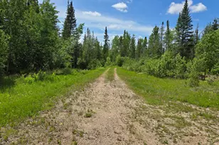 5142 Wolf Knoll Rd, Orr, MN 55771 - Photo 13