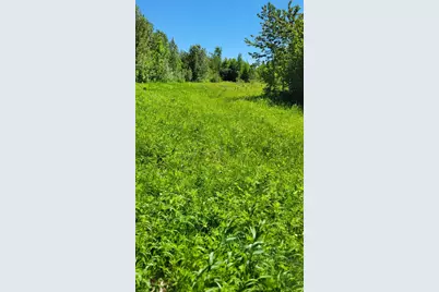 1634 County Road 117, Baudette, MN 56623 - Photo 31