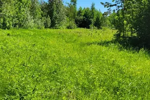 1634 Town Rd 117, Baudette, MN 56623 - Photo 31