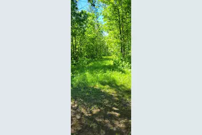 1634 County Road 117, Baudette, MN 56623 - Photo 29