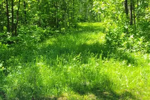 1634 Town Rd 117, Baudette, MN 56623 - Photo 29